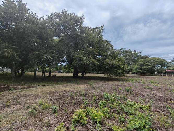 Se vende hermoso terreno en Sardinal Guanacaste  - Imagen 4