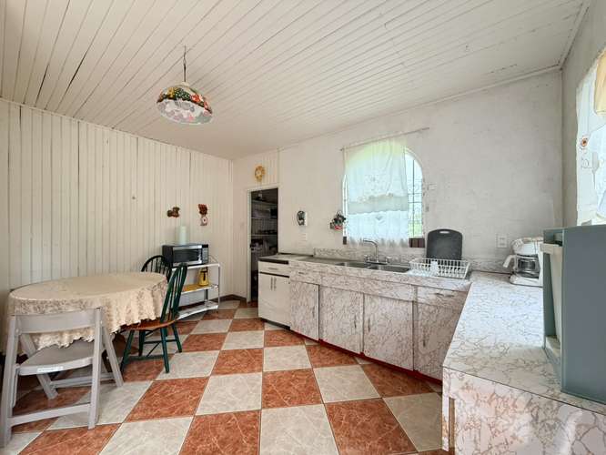 FINCA DE 4.6 HECTAREAS EN VENTA | SAN JERÓNIMO DE MORAVIA · San José · 4647 m² - Imagen 19