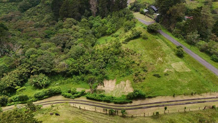 FINCA DE 4.6 HECTAREAS EN VENTA | SAN JERÓNIMO DE MORAVIA · San José · 4647 m² - Imagen 5