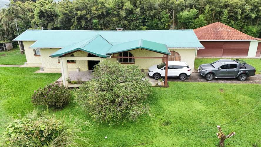FINCA DE 4.6 HECTAREAS EN VENTA | SAN JERÓNIMO DE MORAVIA · San José · 4647 m² - Imagen 12