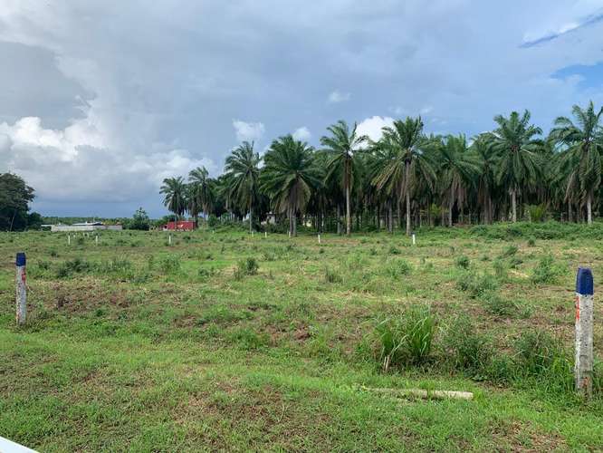 Lote Playa Bandera 316mts · Parrita, Puntarenas