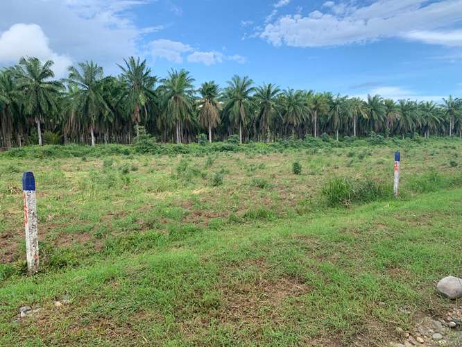 Lote Playa Bandera 316mts · Parrita, Puntarenas