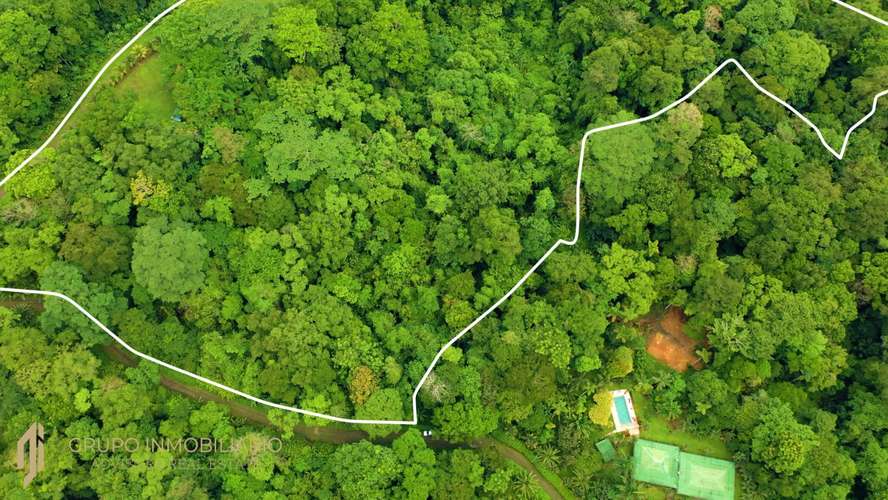 Sale 10.7 Acres of Private Caribbean Rainforest in Costa Rica Near Puerto Viejo, Playa Chiquita & Punta Uva -04 - Imagen 12