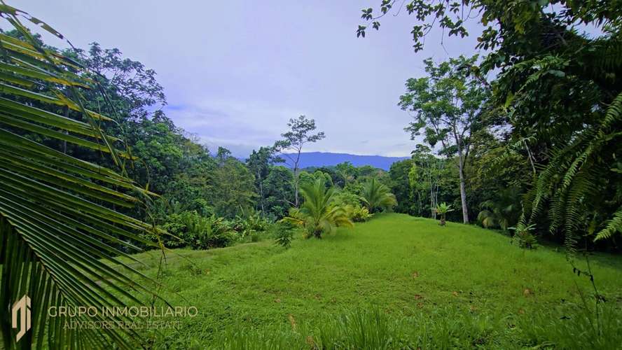 Sale 10.7 Acres of Private Caribbean Rainforest in Costa Rica Near Puerto Viejo, Playa Chiquita & Punta Uva -04 - Imagen 7