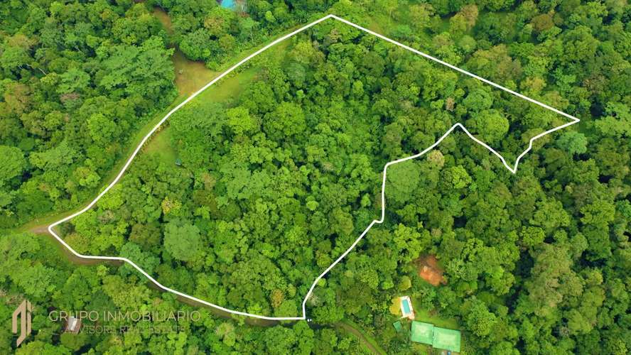 Sale 10.7 Acres of Private Caribbean Rainforest in Costa Rica Near Puerto Viejo, Playa Chiquita & Punta Uva -04 - Imagen 14