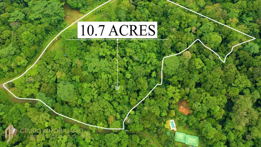 Sale 10.7 Acres of Private Caribbean Rainforest in Costa Rica Near Puerto Viejo, Playa Chiquita & Punta Uva -04 - Imagen 13