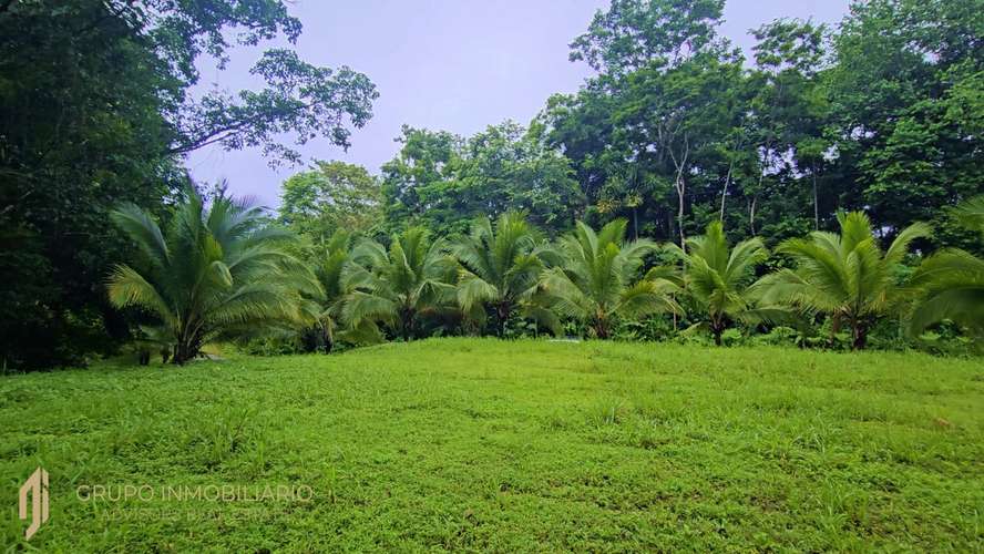 Sale 10.7 Acres of Private Caribbean Rainforest in Costa Rica Near Puerto Viejo, Playa Chiquita & Punta Uva -04 - Imagen 19