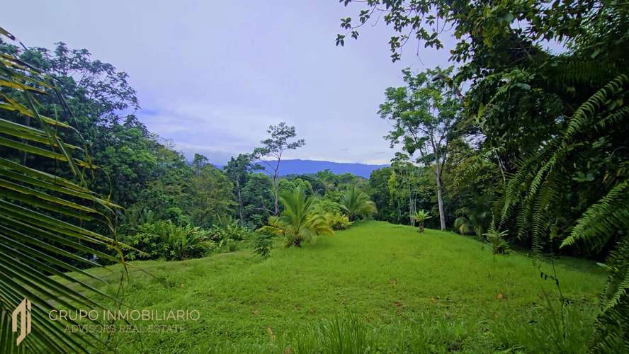 Sale 10.7 Acres of Private Caribbean Rainforest in Costa Rica Near Puerto Viejo, Playa Chiquita & Punta Uva -04 - Imagen 8