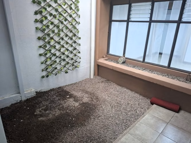 APARTAMENTO EN LA URUCA. - Imagen 13