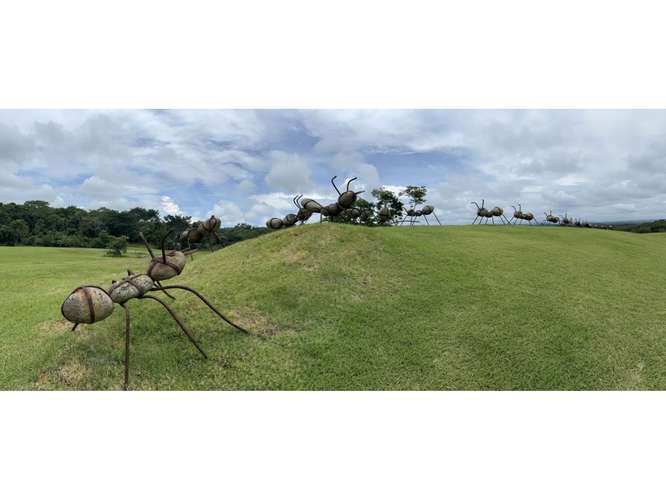 PREVENTA  DE LOTES, PUNTARENAS, JACÓ, PLAYA HERMOSA - Imagen 17