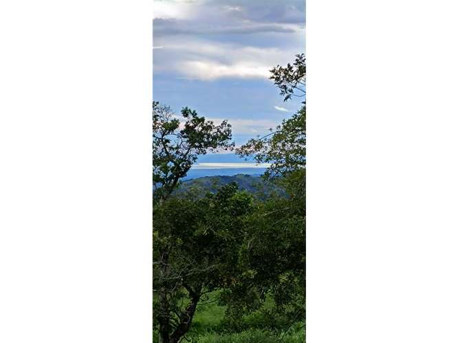 VENTA DE HERMOSO TERRENO PARA DESARROLLO, SAN RAMON - Imagen 4