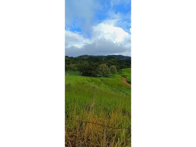 VENTA DE HERMOSO TERRENO PARA DESARROLLO, SAN RAMON - Imagen 9