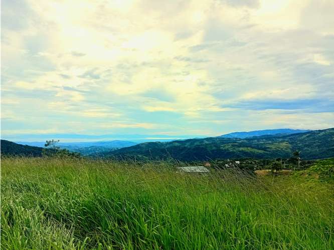 VENTA DE HERMOSO TERRENO PARA DESARROLLO, SAN RAMON - Imagen 8