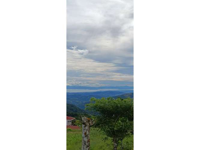 VENTA DE HERMOSO TERRENO PARA DESARROLLO, SAN RAMON - Imagen 3