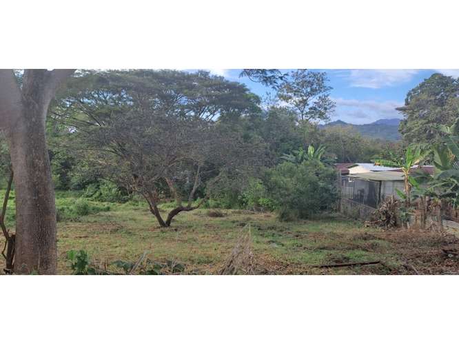 VENTA DE TERRENO MIXTO, CUATRO ESQUINAS DE OROTINA 4147 (GC) - Imagen 1