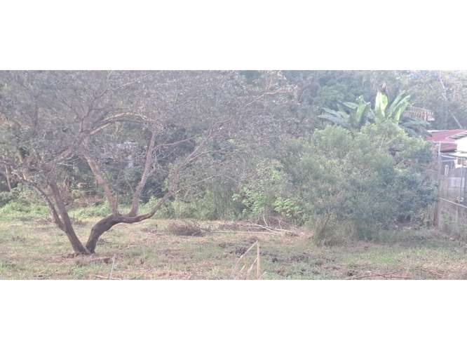 VENTA DE TERRENO MIXTO, CUATRO ESQUINAS DE OROTINA 4147 (GC) - Imagen 11