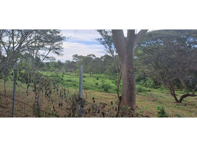VENTA DE TERRENO MIXTO, CUATRO ESQUINAS DE OROTINA 4147 (GC) - Imagen 5