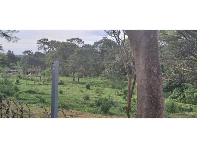 VENTA DE TERRENO MIXTO, CUATRO ESQUINAS DE OROTINA 4147 (GC) - Imagen 2