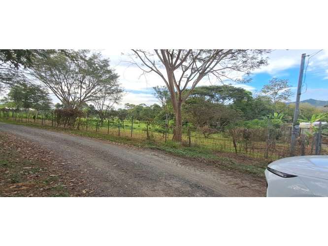 VENTA DE TERRENO MIXTO, CUATRO ESQUINAS DE OROTINA 4147 (GC) - Imagen 4
