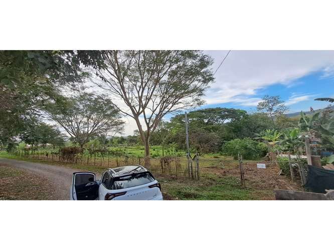 VENTA DE TERRENO MIXTO, CUATRO ESQUINAS DE OROTINA 4147 (GC) - Imagen 7