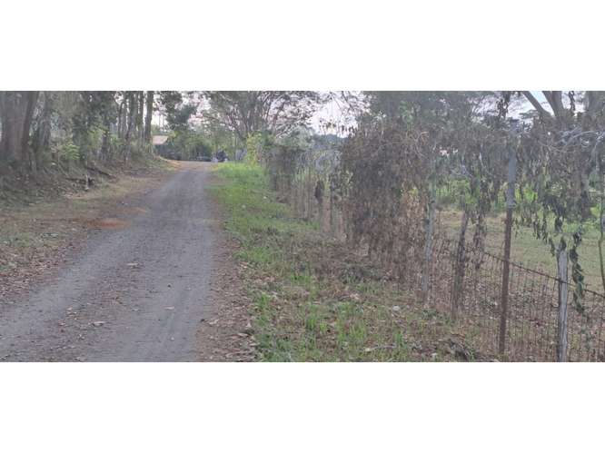 VENTA DE TERRENO MIXTO, CUATRO ESQUINAS DE OROTINA 4147 (GC) - Imagen 10
