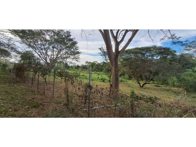 VENTA DE TERRENO MIXTO, CUATRO ESQUINAS DE OROTINA 4147 (GC) - Imagen 6