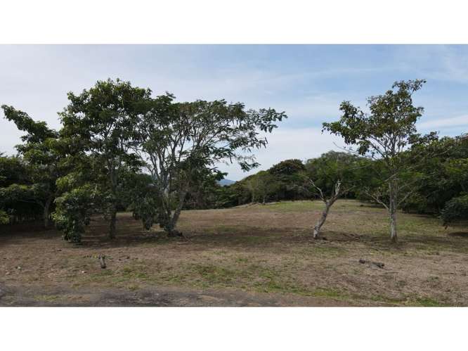 VENTA DE TERRENO, GUACIMA, VISTAS DEL ARROYO 4160 (GC) - Imagen 2