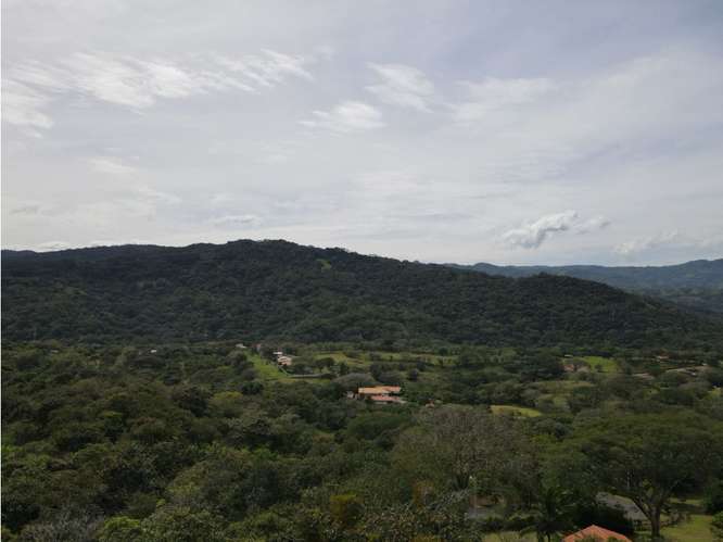 VENTA DE TERRENO, GUACIMA, VISTAS DEL ARROYO 4160 (GC) - Imagen 11