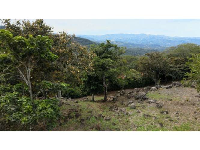 VENTA DE TERRENO, GUACIMA, VISTAS DEL ARROYO 4160 (GC) - Imagen 3