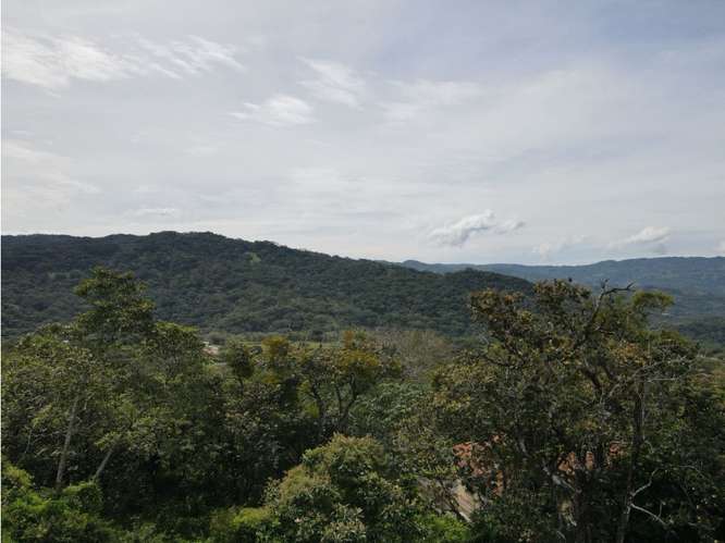 VENTA DE TERRENO, GUACIMA, VISTAS DEL ARROYO 4160 (GC) - Imagen 9