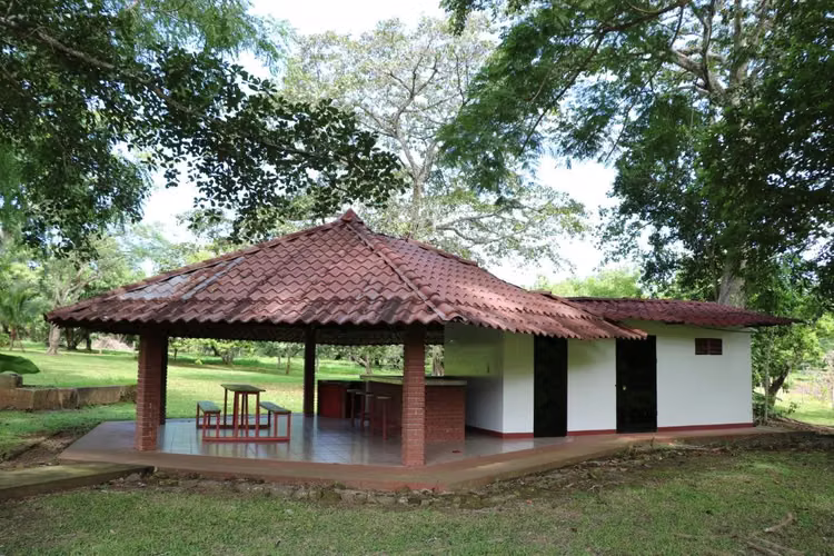 FINCA CERCANA A SJ TURRUBARES - Imagen 5