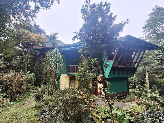 CASA MONTEVERDE: A LUXURY RAINFOREST HOME  - Imagen 3