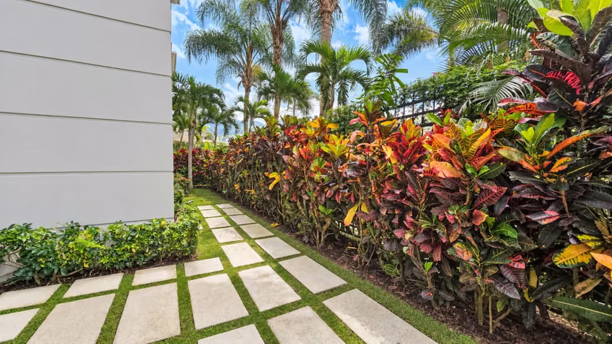 Alquiler Lujoso Apartamento 3 habitaciones con jardin sin muebles en Cortijo Los Laureles Escazu - Imagen 9