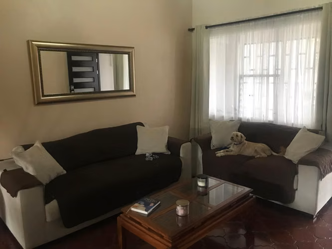 Venta Amplia Casa de un solo nivel en Tibás. - Imagen 4