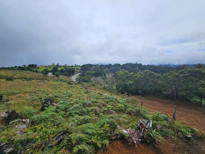 TERRENO EN VENTA – CAÑÓN DEL GUARCO, CARTAGO |  - Imagen 12