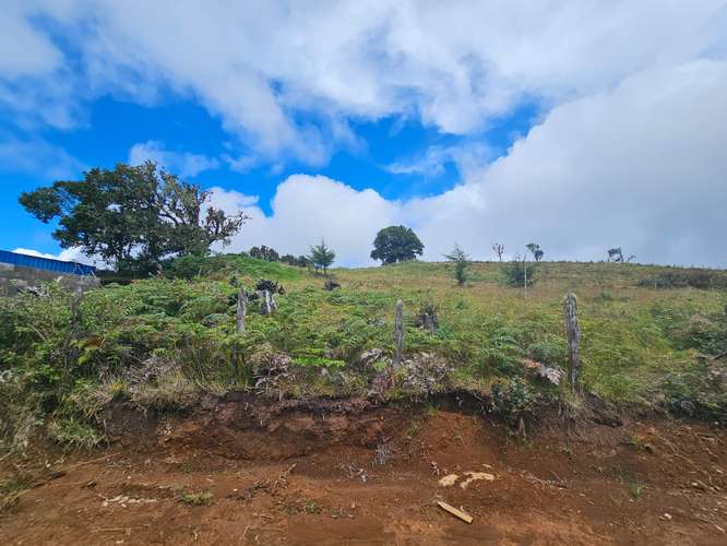 TERRENO EN VENTA – CAÑÓN DEL GUARCO, CARTAGO |  - Imagen 19