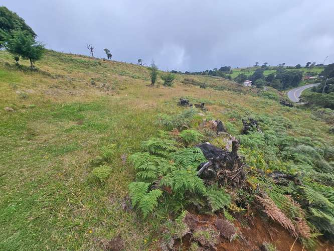 TERRENO EN VENTA – CAÑÓN DEL GUARCO, CARTAGO |  - Imagen 17