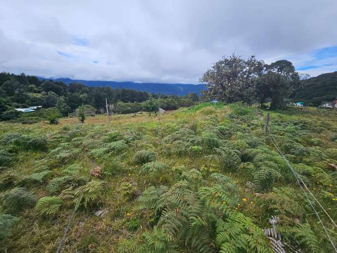 TERRENO EN VENTA – CAÑÓN DEL GUARCO, CARTAGO | 