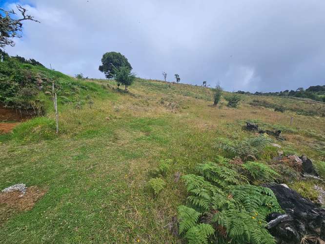 TERRENO EN VENTA – CAÑÓN DEL GUARCO, CARTAGO |  - Imagen 16