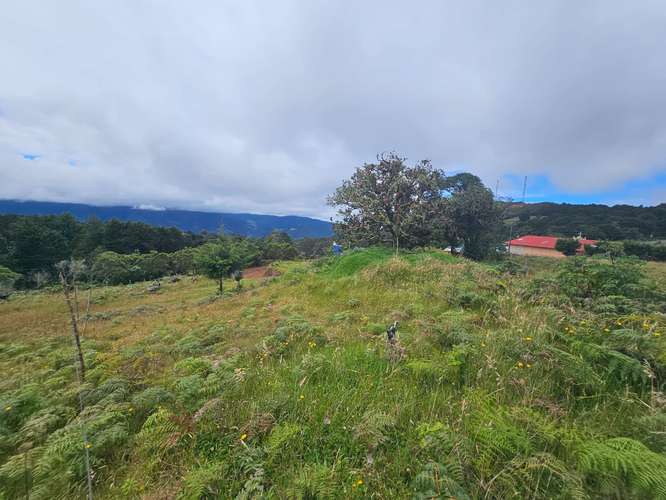 TERRENO EN VENTA – CAÑÓN DEL GUARCO, CARTAGO |  - Imagen 10