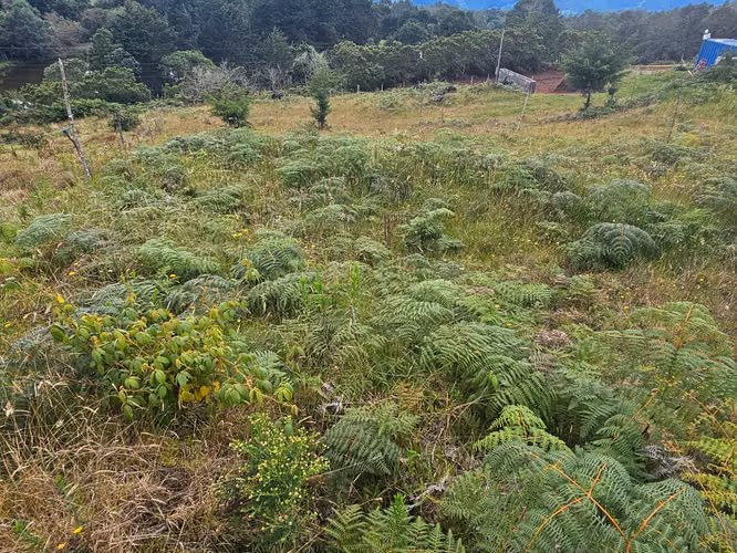 TERRENO EN VENTA 667 m² – CAÑÓN DEL GUARCO, CARTAGO | 
