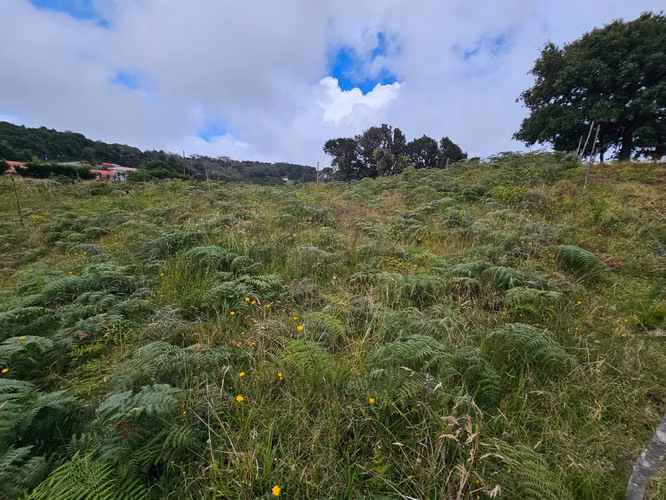 TERRENO EN VENTA 667 m² – CAÑÓN DEL GUARCO, CARTAGO | 