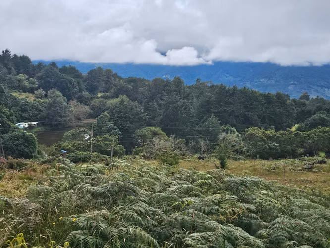 TERRENO EN VENTA 667 m² – CAÑÓN DEL GUARCO, CARTAGO | 