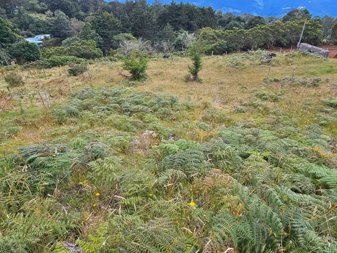 TERRENO EN VENTA 667 m² – CAÑÓN DEL GUARCO, CARTAGO | 