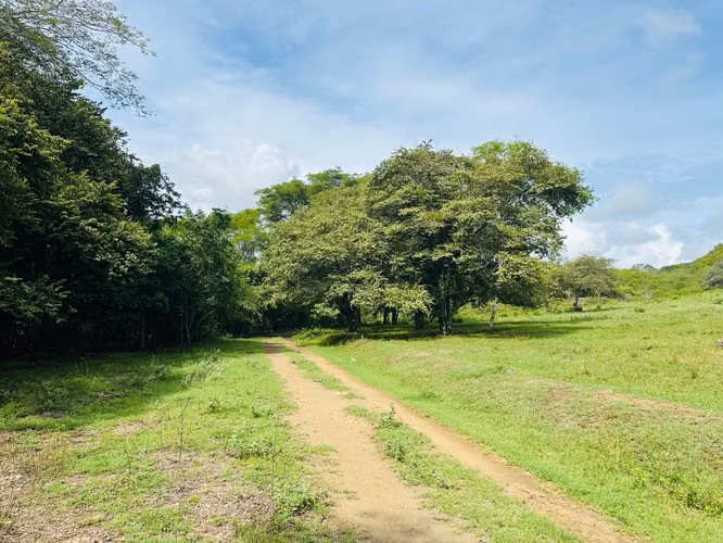 Terreno para desarrollo en Tamarindo: 32 hectáreas con plan maestro de 57 unidades. - Imagen 10