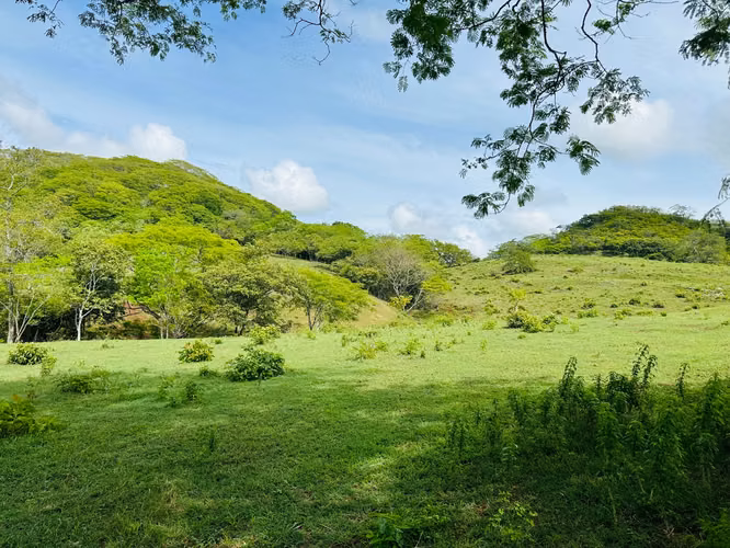 Terreno para desarrollo en Tamarindo: 32 hectáreas con plan maestro de 57 unidades. - Imagen 18