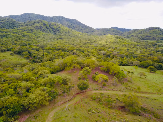 Terreno para desarrollo en Tamarindo: 32 hectáreas con plan maestro de 57 unidades. - Imagen 7
