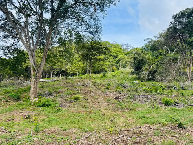 Terreno para desarrollo en Tamarindo: 32 hectáreas con plan maestro de 57 unidades. - Imagen 11