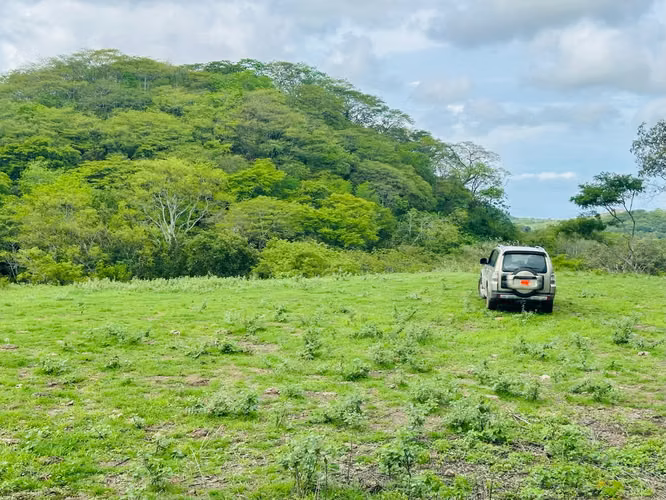 Terreno para desarrollo en Tamarindo: 32 hectáreas con plan maestro de 57 unidades. - Imagen 6
