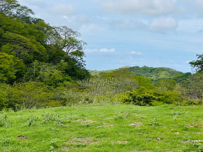 Terreno para desarrollo en Tamarindo: 32 hectáreas con plan maestro de 57 unidades. - Imagen 9